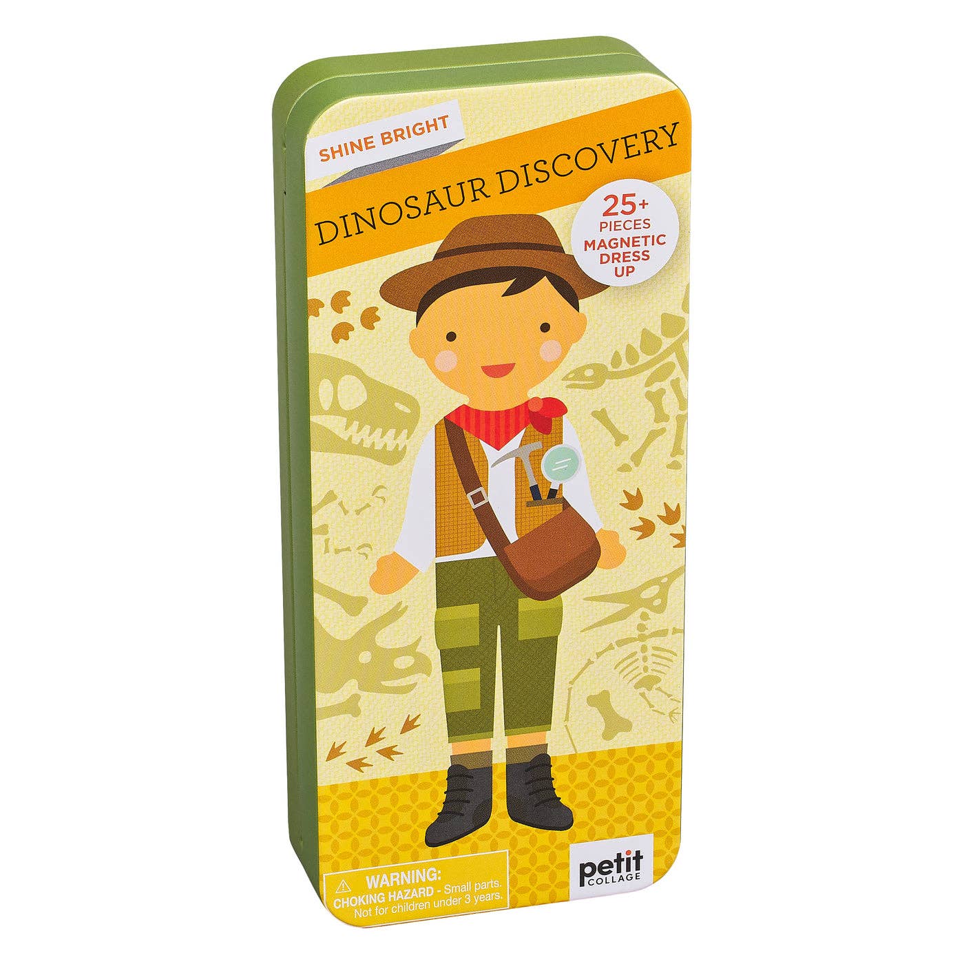 Dinosaur Discovery Magnetic Set