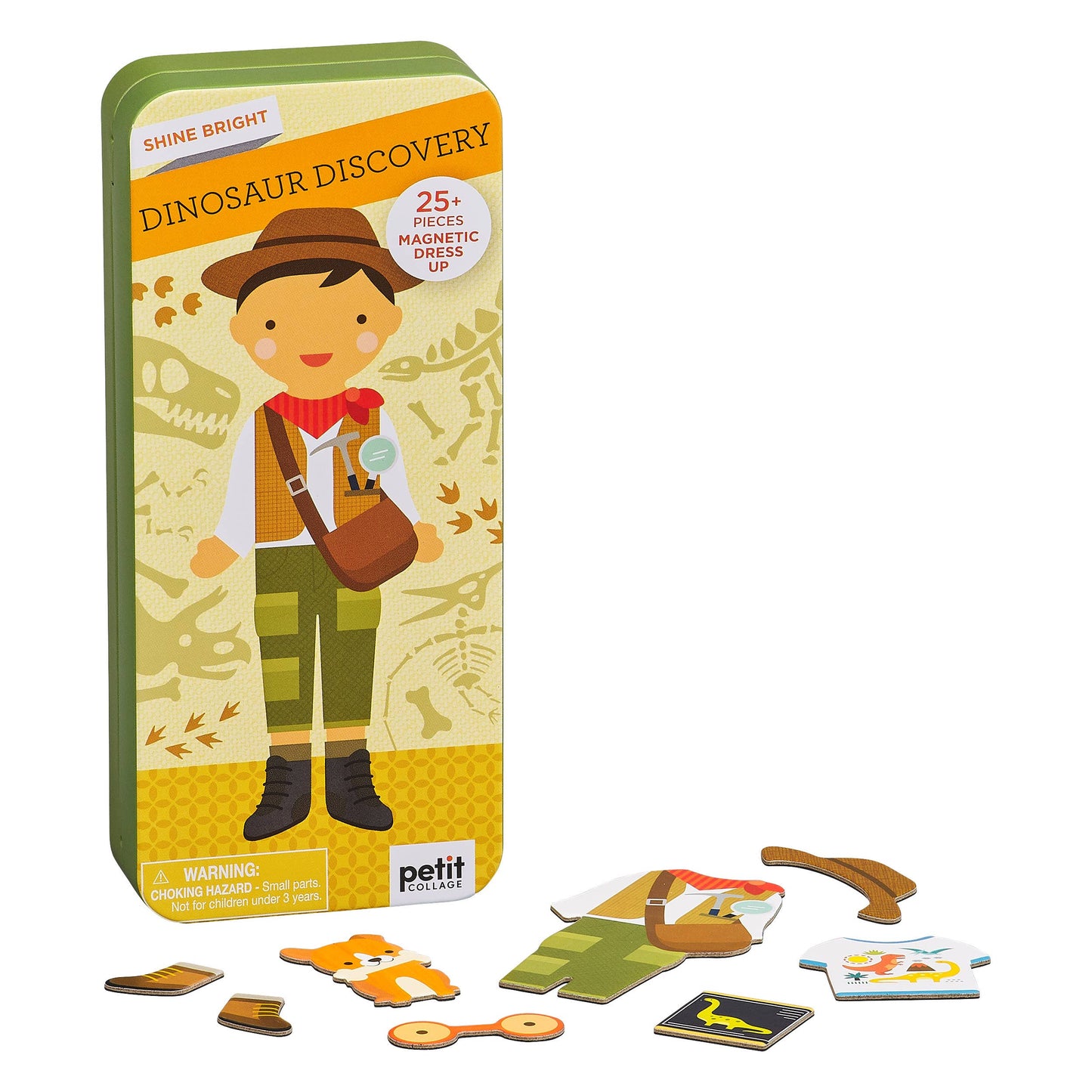 Dinosaur Discovery Magnetic Set