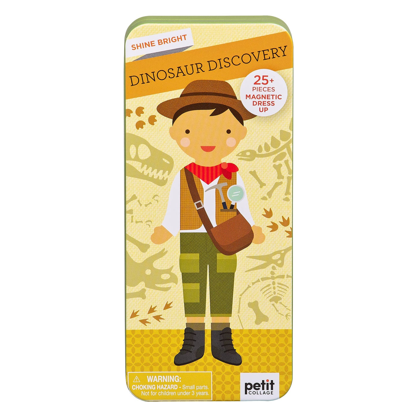 Dinosaur Discovery Magnetic Set