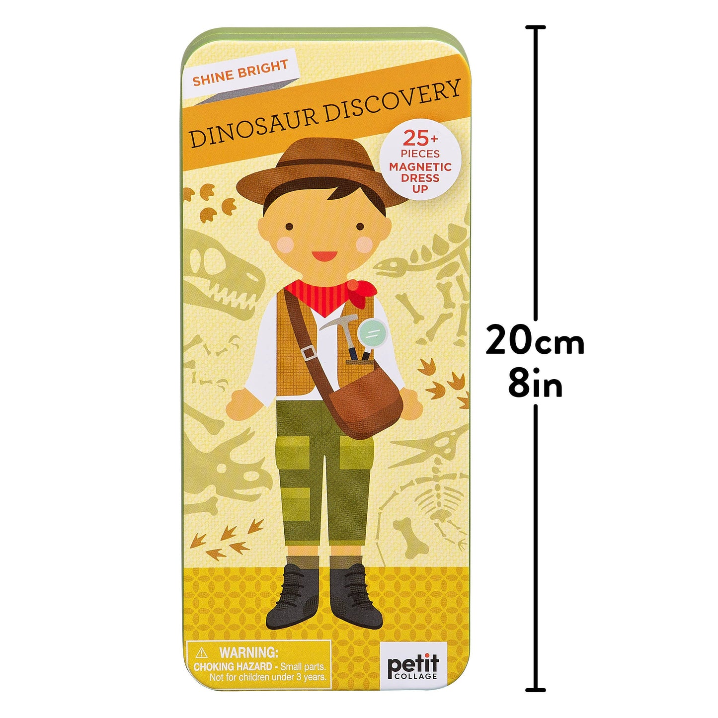 Dinosaur Discovery Magnetic Set